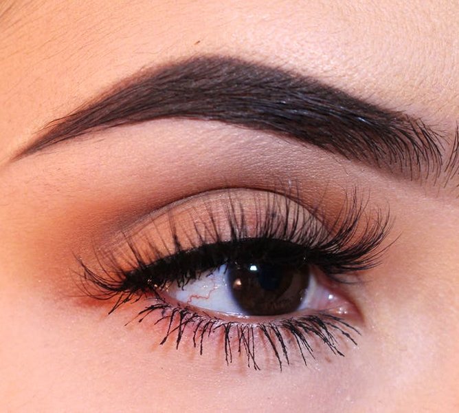 Eyebrow